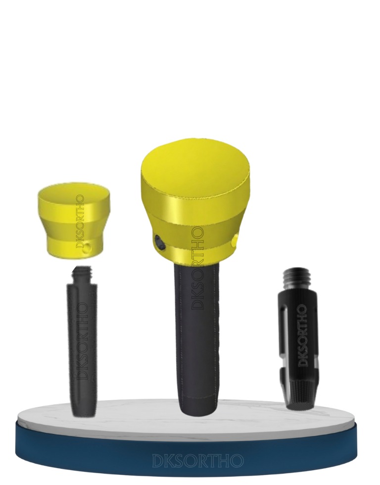 Radial Head Prosthesis System